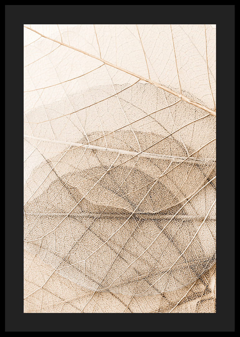 Close-up van dunne bladeren in lagen met fijne nerven, beige tinten-12