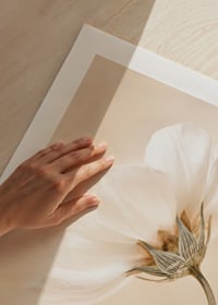 Close-up of white spring flowers against soft beige background-9
