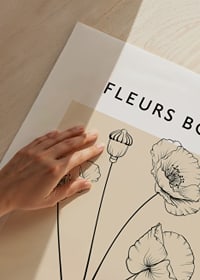 Botanical line art of poppy flowers on beige background-3