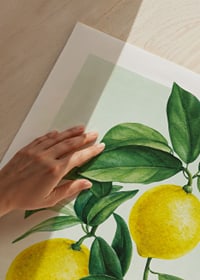 Acquerello di tre limoni gialli con foglie verdi su sfondo chiaro-3