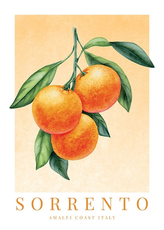 Watercolor painting of three oranges with green leaves on light orange background-12