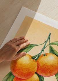 Watercolor painting of three oranges with green leaves on light orange background-3