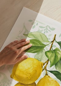 Watercolor of three lemons with green leaves against a patterned background-3