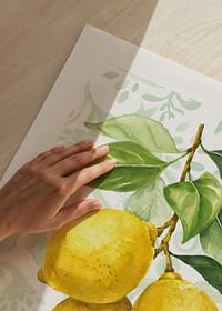 Salerno Amalfi Lemons-3
