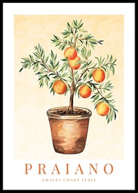 Watercolor painting of orange tree in clay pot against light background-0