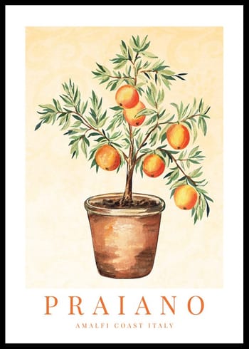 Poster Praiano Amalfi Oranges