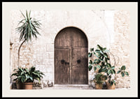 Photograph of rustic wooden door with potted plants against stone wall-2