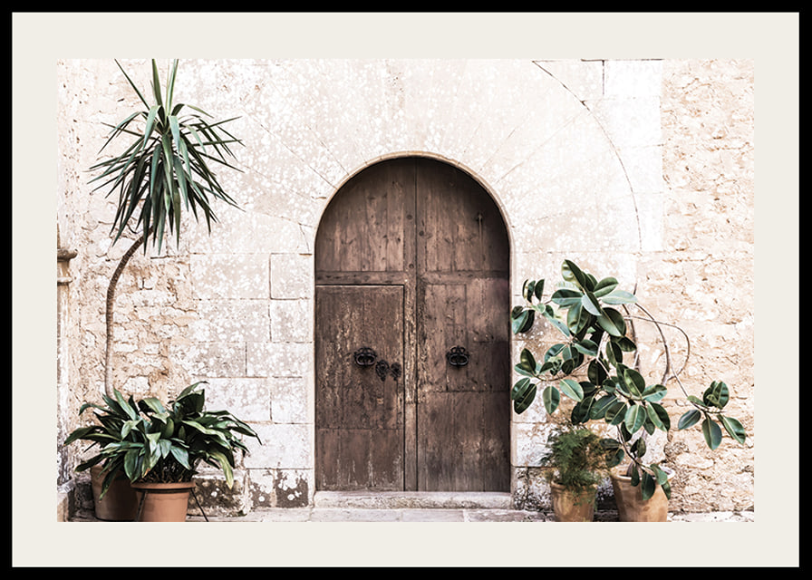 Photograph of rustic wooden door with potted plants against stone wall-12