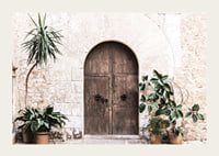 Photograph of rustic wooden door with potted plants against stone wall-3