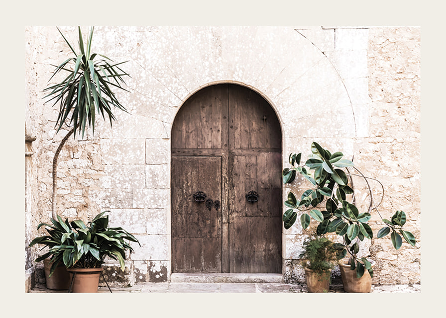 Photograph of rustic wooden door with potted plants against stone wall-12