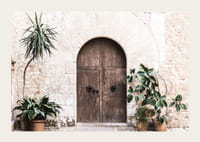 Fotografia di una porta rustica in legno con piante in vaso contro un muro in pietra-3