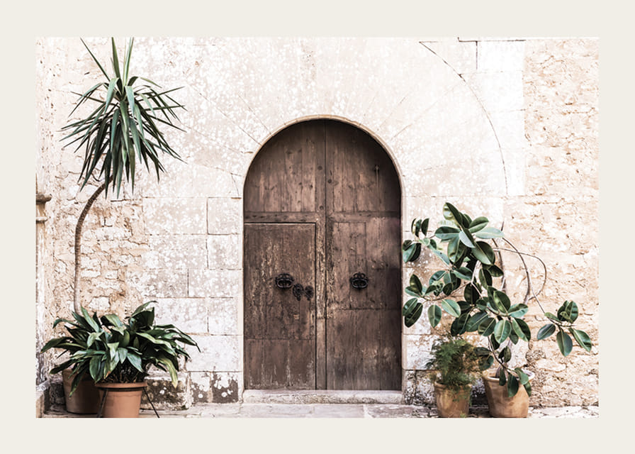 Fotografia di una porta rustica in legno con piante in vaso contro un muro in pietra-12