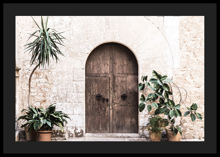 Photograph of rustic wooden door with potted plants against stone wall-12