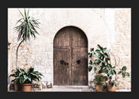 Photograph of rustic wooden door with potted plants against stone wall-5