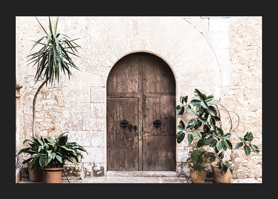 Photograph of rustic wooden door with potted plants against stone wall-12