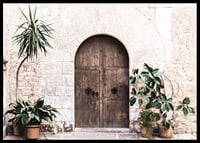 Photograph of rustic wooden door with potted plants against stone wall-6