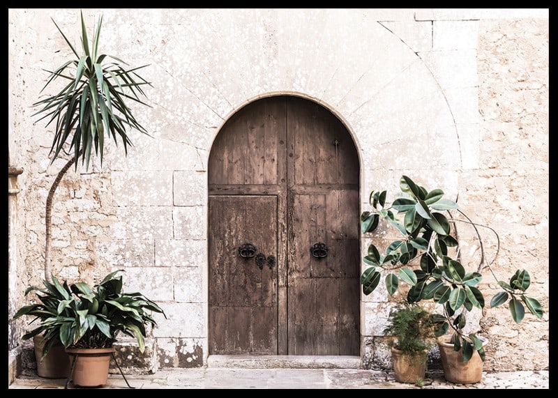 Photograph of rustic wooden door with potted plants against stone wall-12