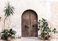 Photograph of rustic wooden door with potted plants against stone wall-7