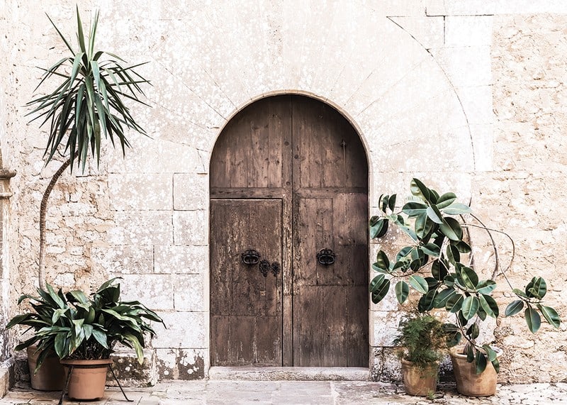 Photograph of rustic wooden door with potted plants against stone wall-12