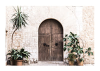 Photograph of rustic wooden door with potted plants against stone wall-1