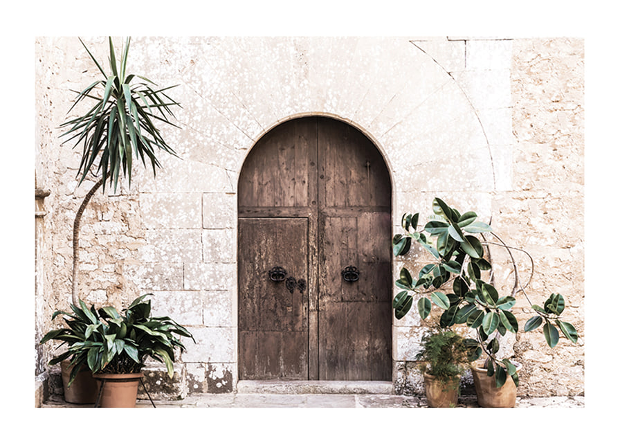 Photograph of rustic wooden door with potted plants against stone wall-12