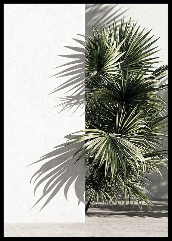 Mediterranian Patio No3-12