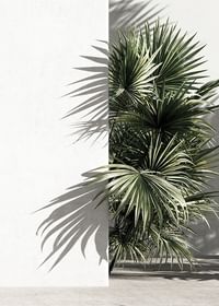 Mediterranian Patio No3-3