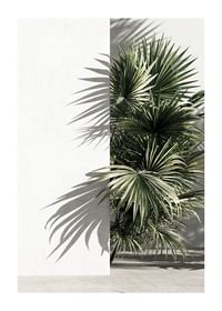 Mediterranian Patio No3-1