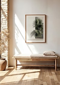 Photograph of sunlit palm leaves against a white plastered wall-8