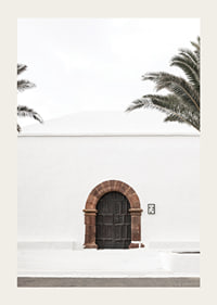 Photographic brown wooden door with stone arch in white plastered wall-3