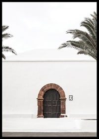 Photographic brown wooden door with stone arch in white plastered wall-6