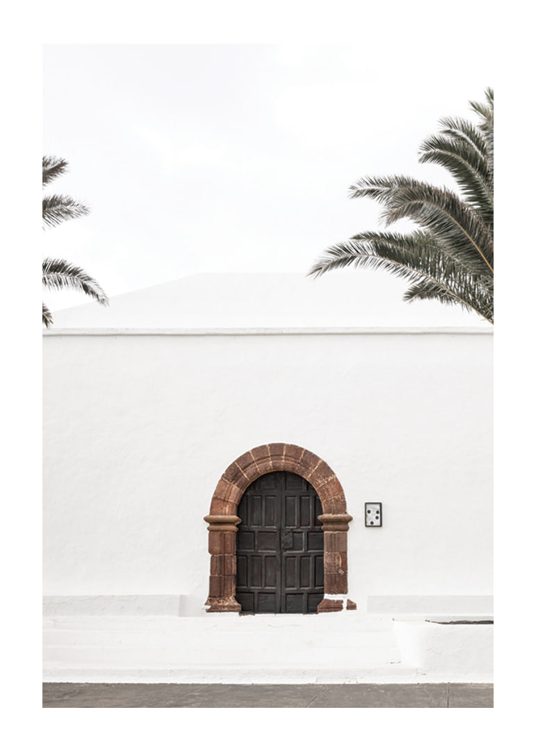 Photographic brown wooden door with stone arch in white plastered wall-12