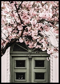 Fotografi av grön dörr med rosa körsbärsblommor ovanför-6