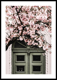 Fotografi av grön dörr med rosa körsbärsblommor ovanför-0
