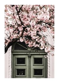 Pink Flowers Green Door-1