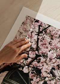 Fotografi av grön dörr med rosa körsbärsblommor ovanför-9