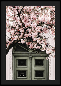 Fotografi av grön dörr med rosa körsbärsblommor ovanför-4