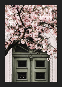 Fotografi av grön dörr med rosa körsbärsblommor ovanför-5