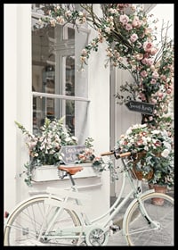 Photograph of white bicycle with flower basket in front of flower-adorned facade-6