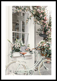 Photograph of white bicycle with flower basket in front of flower-adorned facade-0