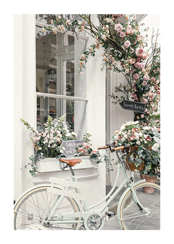 Poster Bicycle And Flowers