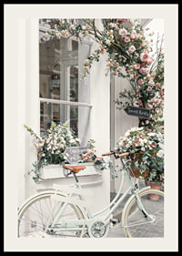 Photograph of white bicycle with flower basket in front of flower-adorned facade-2