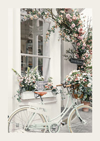 Photograph of white bicycle with flower basket in front of flower-adorned facade-3
