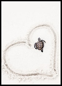 Little sea turtle on light sand surrounded by heart-6
