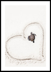 Little sea turtle on light sand surrounded by heart-0