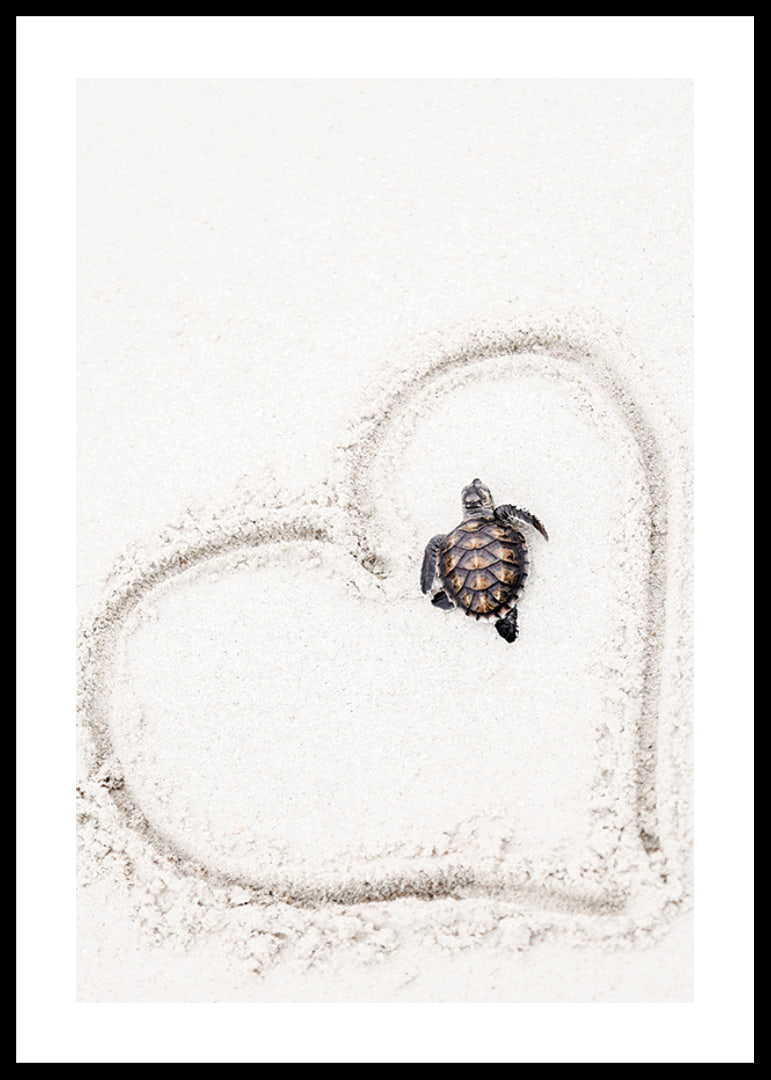 Little sea turtle on light sand surrounded by heart-12