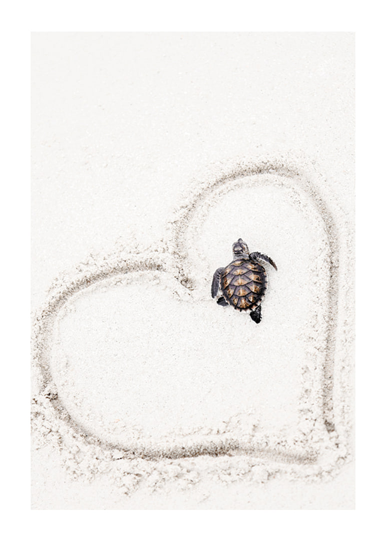 Little sea turtle on light sand surrounded by heart-12
