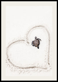 Little sea turtle on light sand surrounded by heart-2
