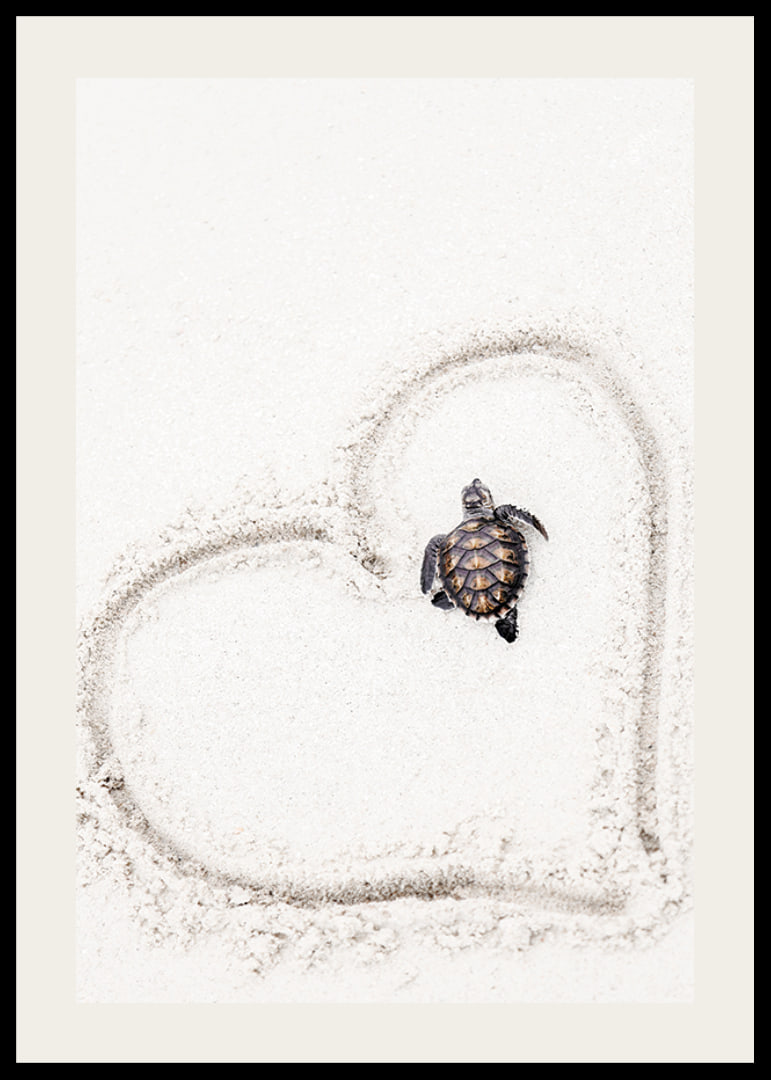 Little sea turtle on light sand surrounded by heart-12