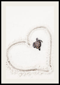 Piccola tartaruga marina sulla sabbia chiara circondata da un cuore-2
